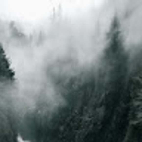 Meet your Posher, Jamie - Picture 1 of 1